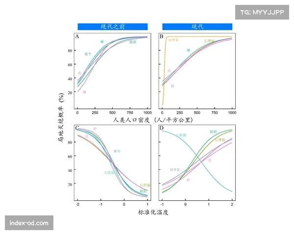 平均站位动态变化 反映战术纪律与灵活性