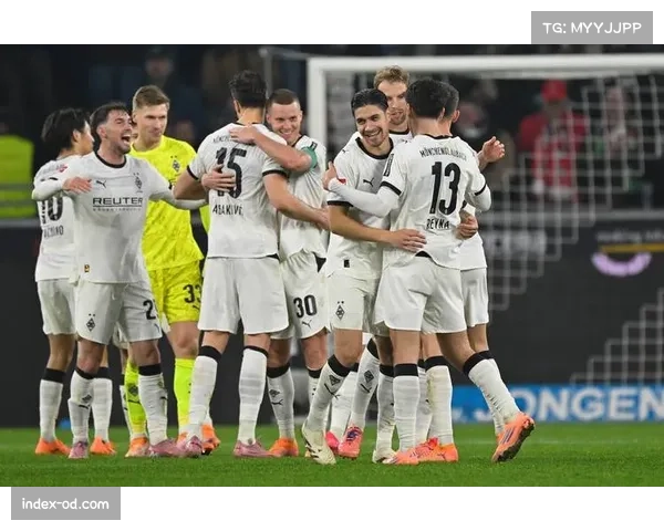 德甲赛季黑马频出 霍芬海姆门兴表现超预期