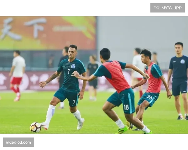 勒阿弗尔体能分配问题明显 下半场后半段注意力下降成战术短板